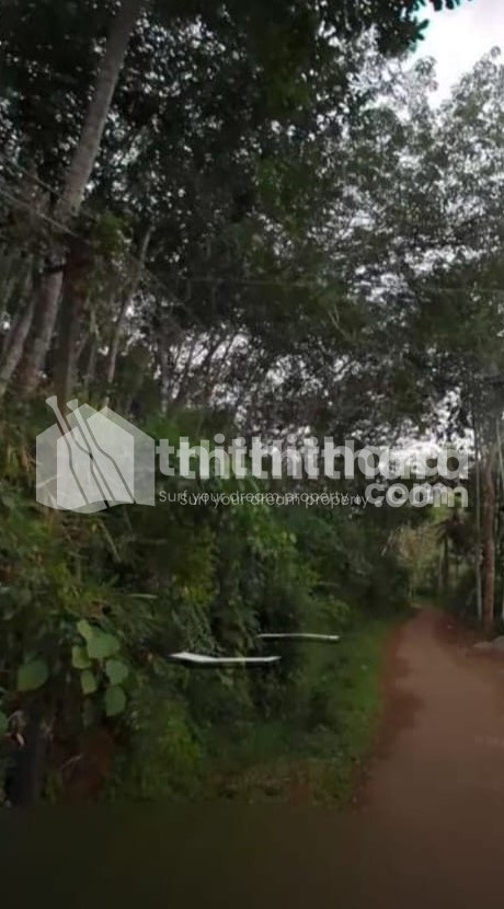 Residential Land available for Sale in Nedumangad Thiruvananthapuram