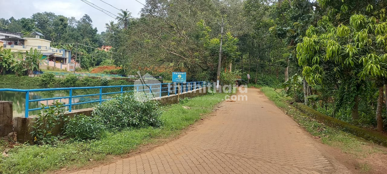 Residential Land available for Sale in Adoor Pathanamthitta