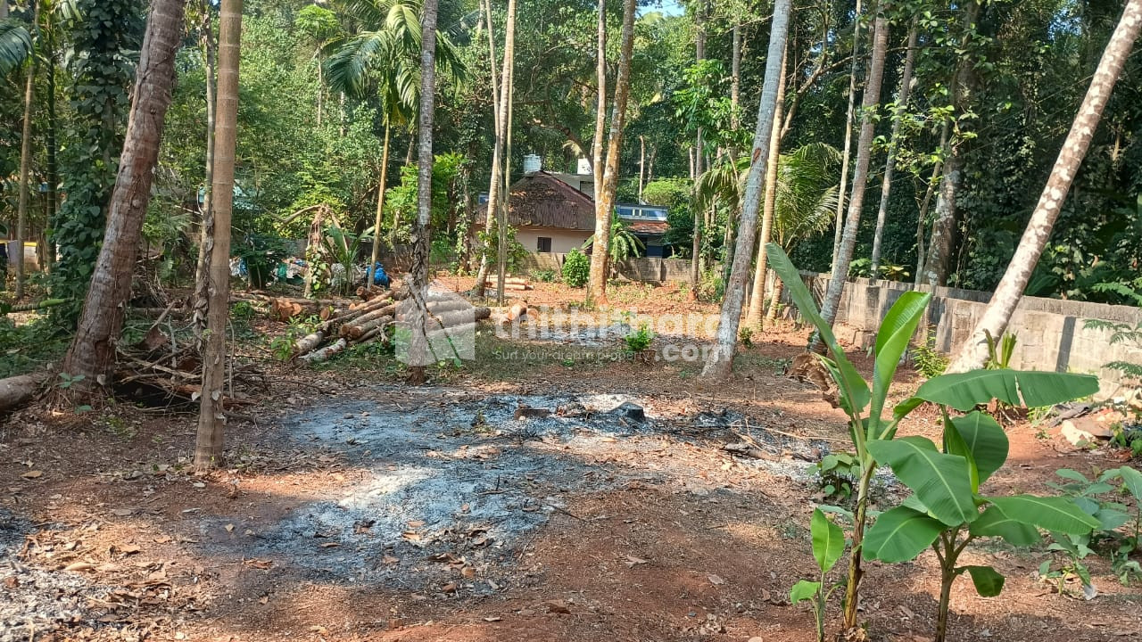 Residential Land for sale at Neyyatinkara Thiruvananthapuram
