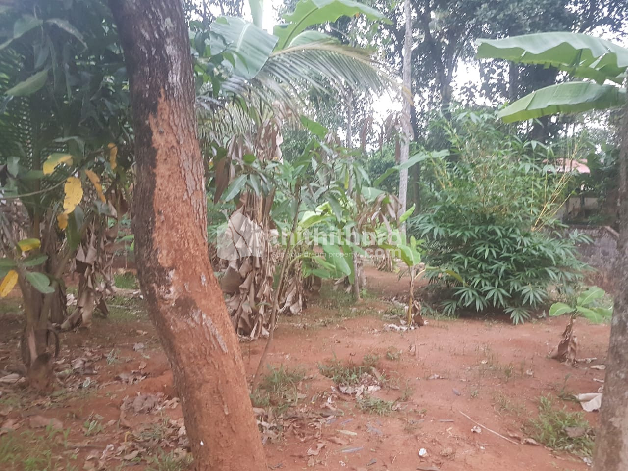 Commercial Plots available for Sale in Parippally Kollam