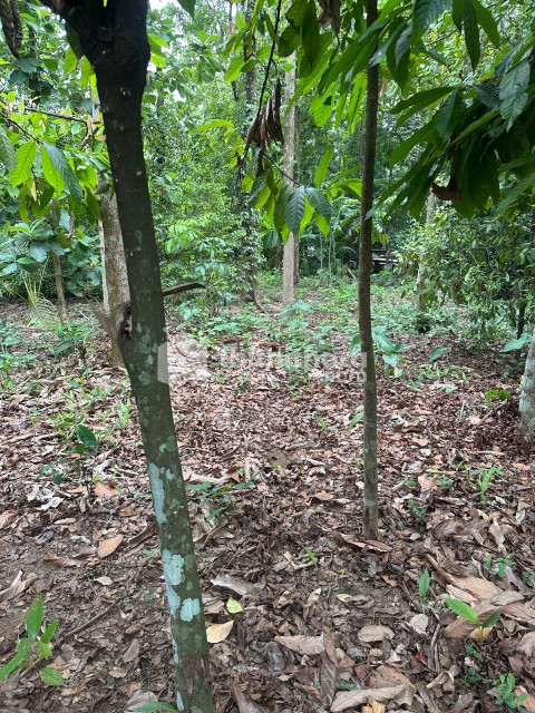 Residential Land available for Sale in Kuruppampady Ernakulam