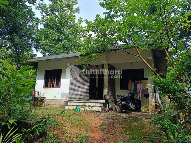 3 BHK Independent House for sale at Ezhacherry Kottayam  