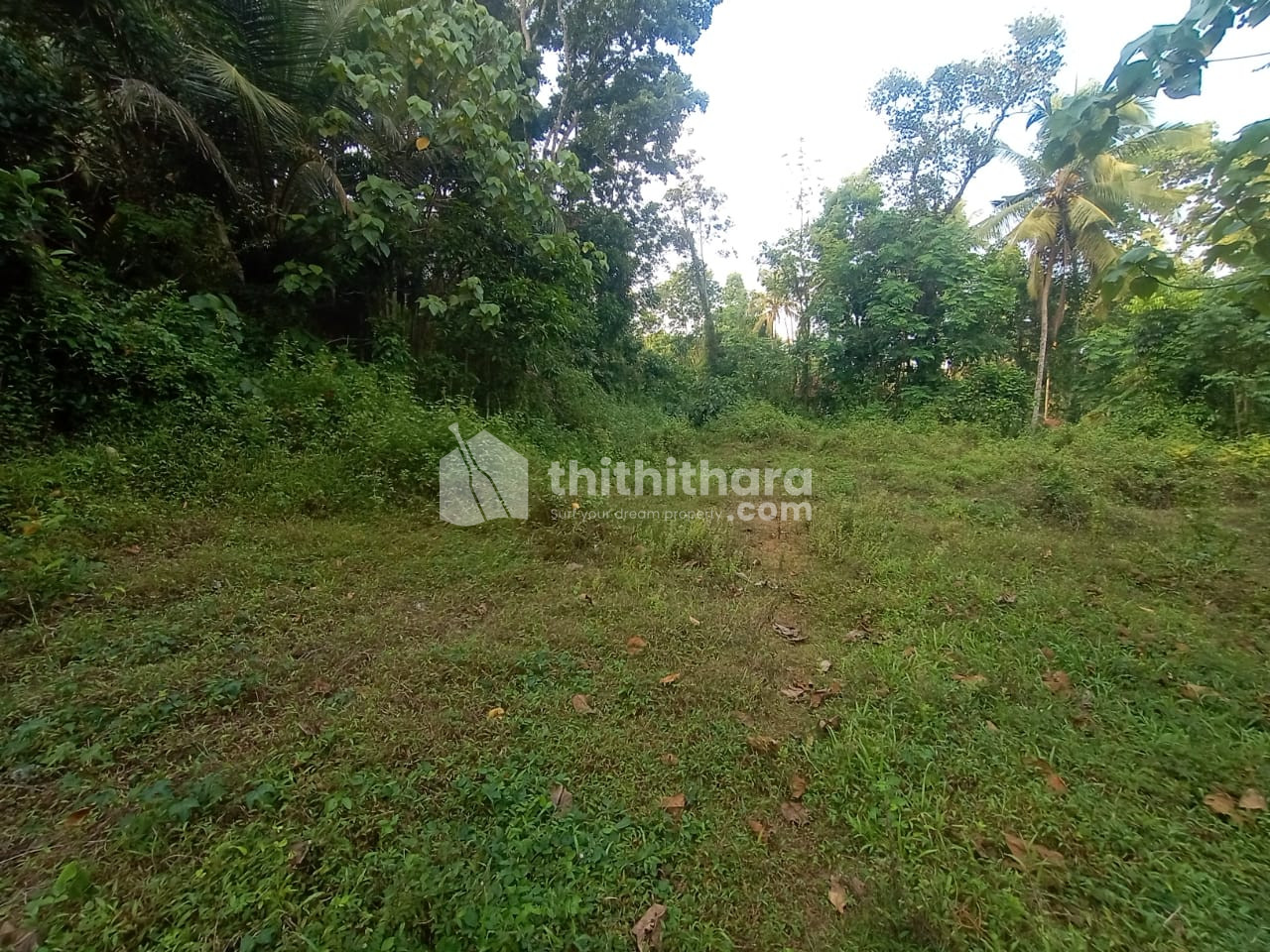 Residential Land available for Sale in Kakkanchery, Calicut University, Malappuram