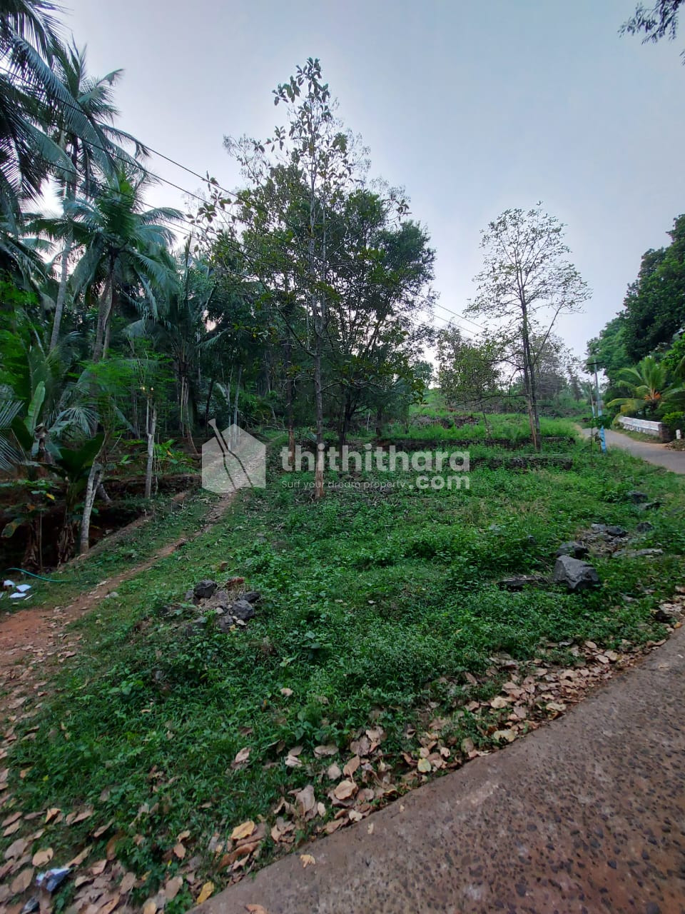 Residential Land available for Sale in Vattapara Malappuram