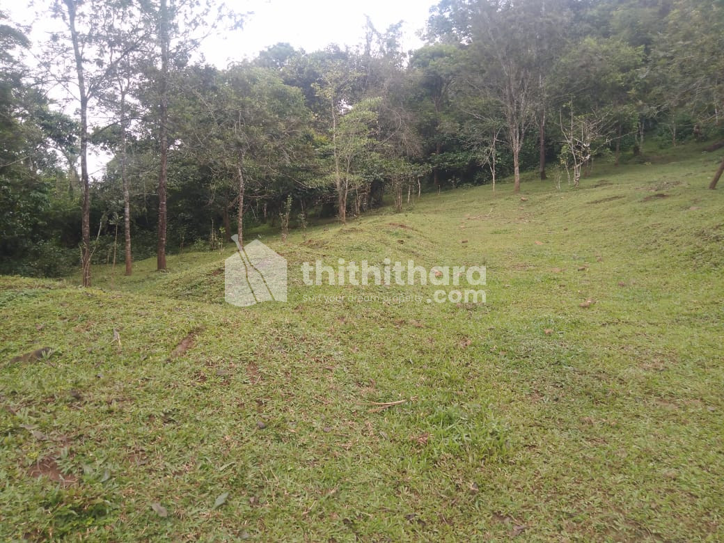 Residential Land for Sale Near Vythiri Wayanad