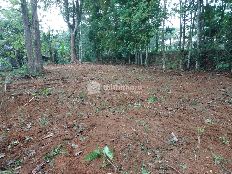 Residential Land available for Sale in Meenachil Kottayam
