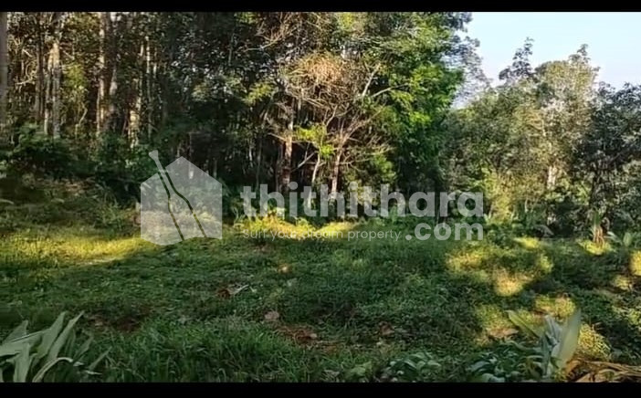 Residential Land available for Sale in  Kanjirappally Kottayam