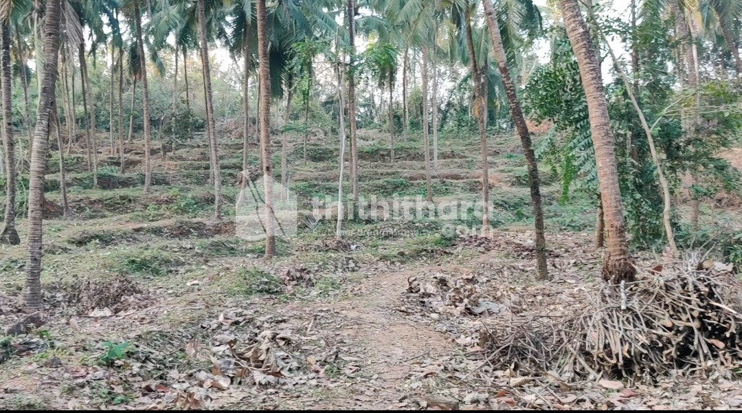 10 cent residential plot at Thazekode, Perinthalmanna
