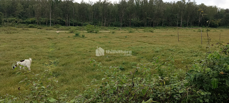 Residential land for sale at SulthanBathery Wayanad