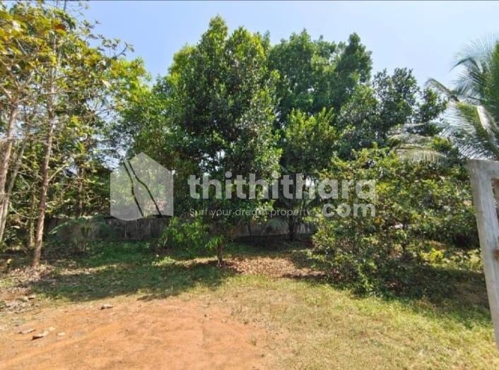 Agricultural Land for sale at Perumbavoor Ernakulam