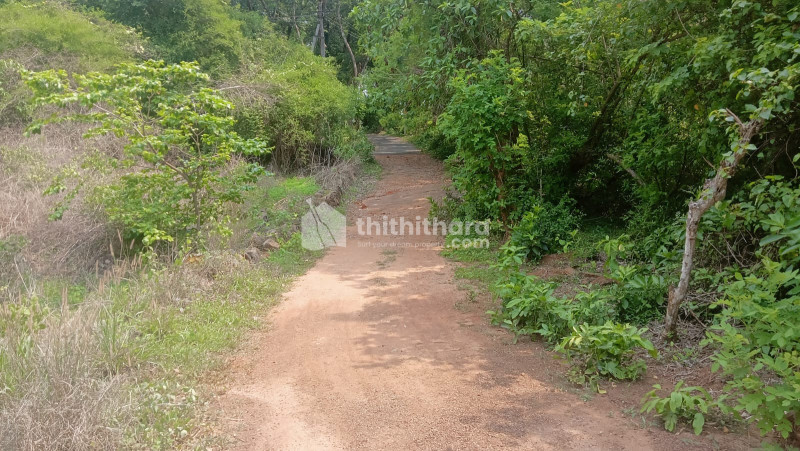 Commercial Plots available for Sale in Wadakkanchery Thrissur