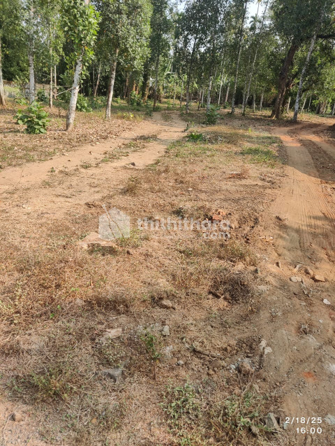 Residential Land available for Sale in Chalakudy Thrissur