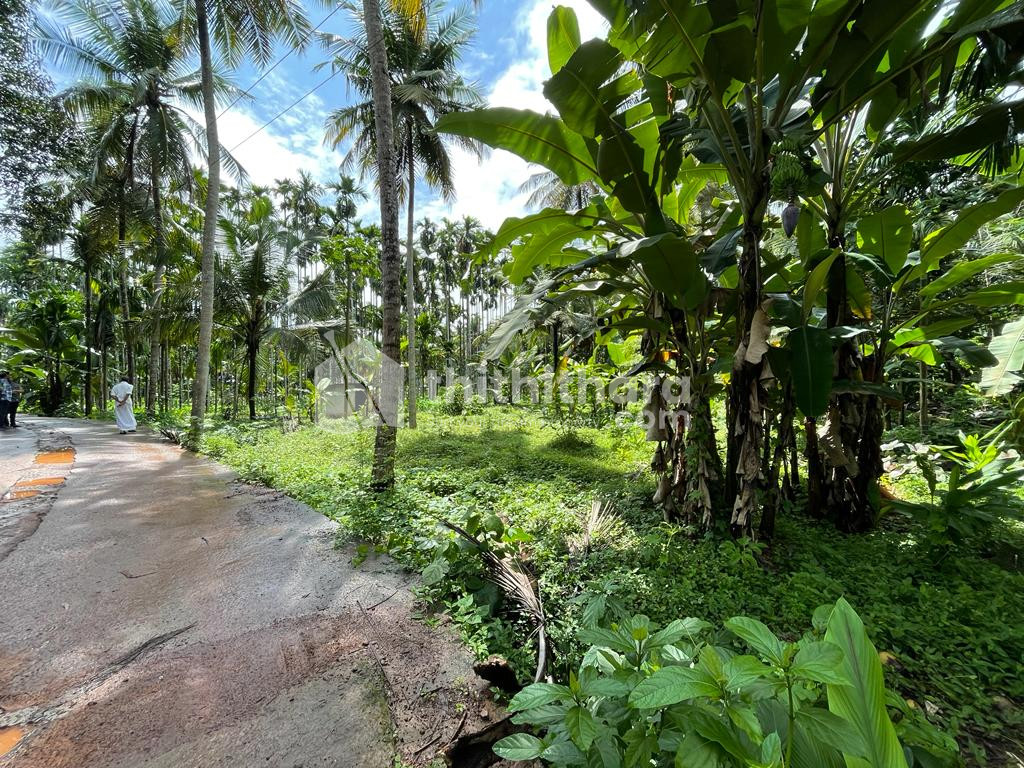 Residential Land for Sale in Kavanur (45 Cents)