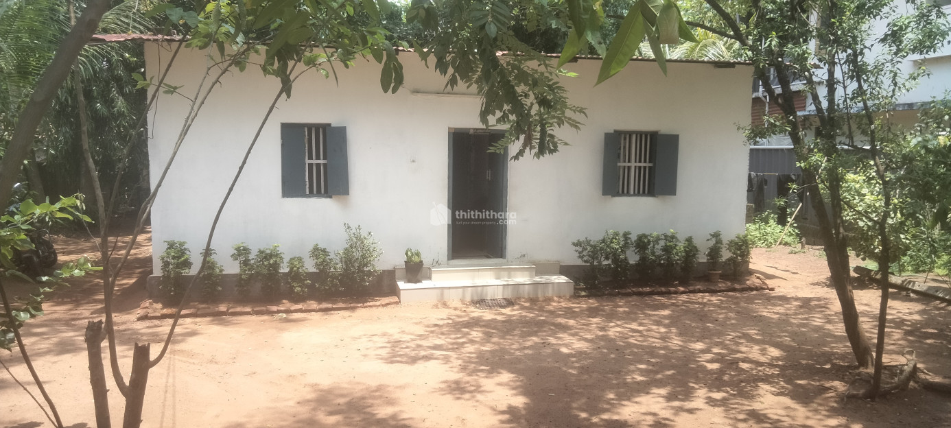 Prime Property for Sale in Kottiyam – Excellent Location & Connectivity!