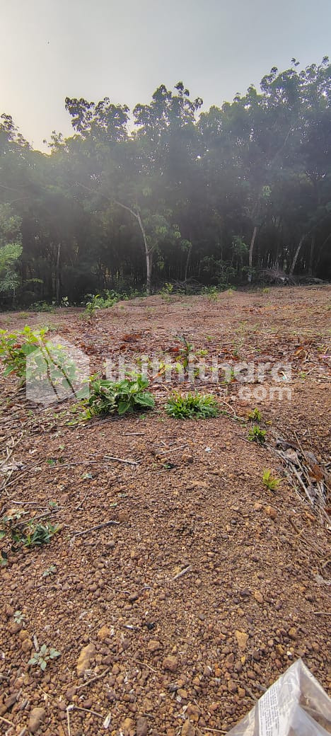 Residential Land available for Sale in Kuzhimattom Kottayam