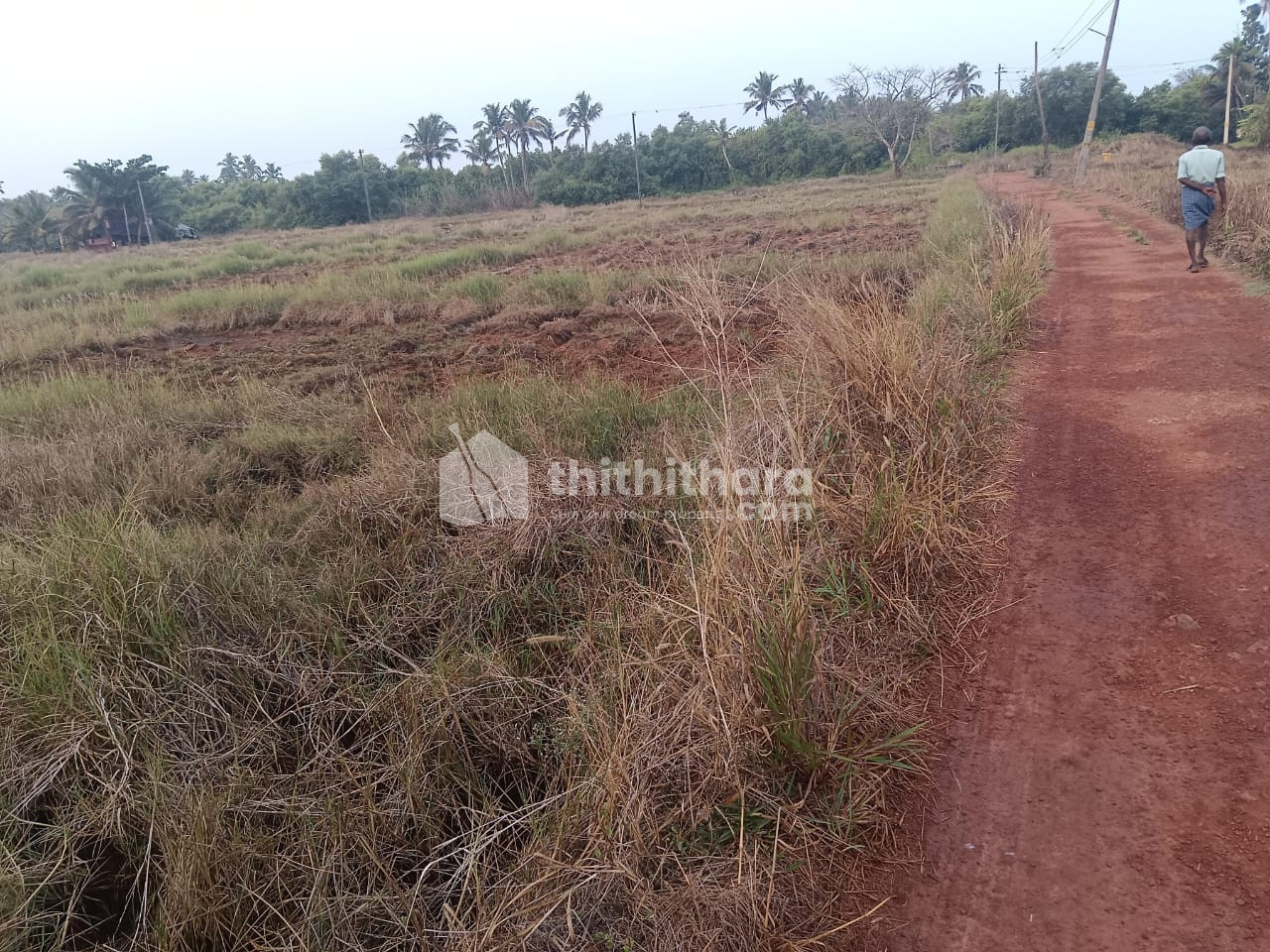 Residential Land  For Sale In Cherukunnu  Kannur