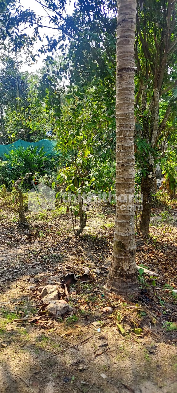 Commercial Plots available for Sale in Kalpetta Wayanad