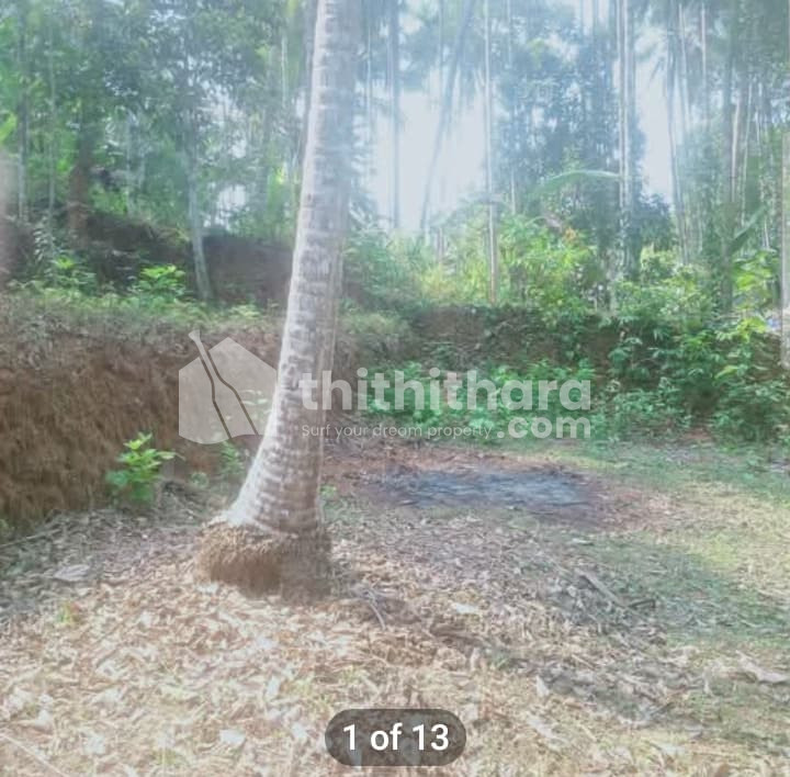 Residential Land available for Sale in Kunnamangalam Kozhikode