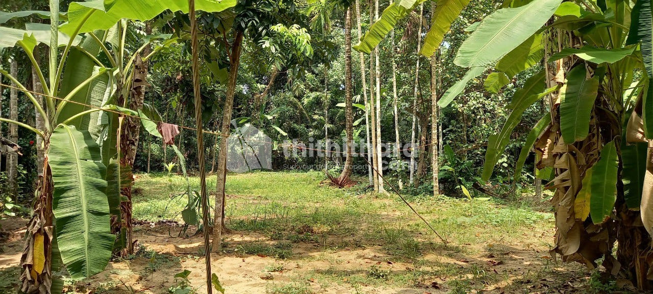 Residential Land available for Sale at Kayamkulam Alappuzha