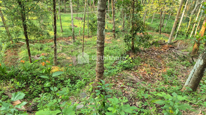 Residential Land available for Sale in Perambra Kozhikode