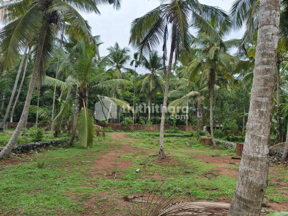 25.5 cent land For sale at Vadakara ,Calicut