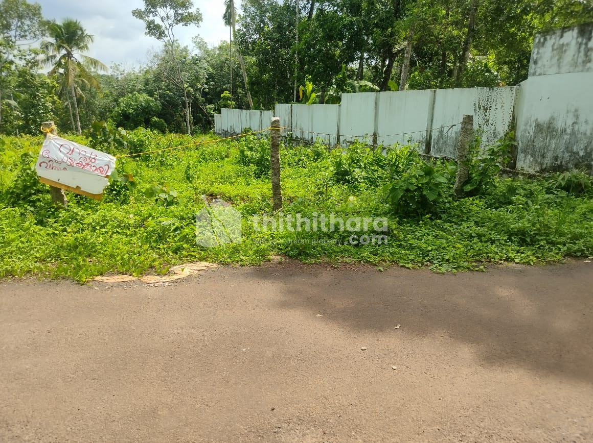 Residential Land available for Sale in Sooranad Kollam