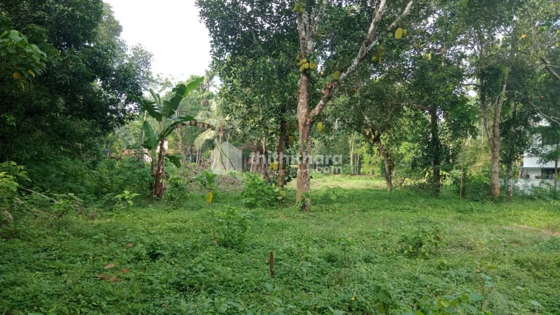 80 cent land  for sale at Kunnappillisseri ,Ernakulam