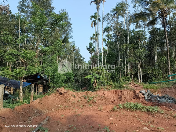 Residential land for sale at Sulthanbatery Wayanad