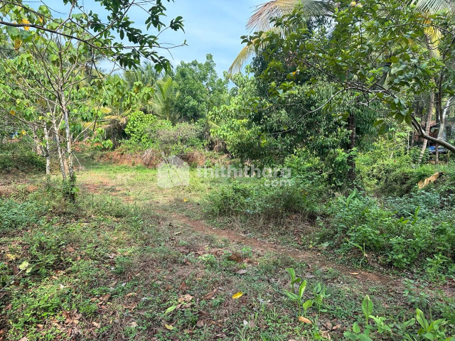 Commercial Plots available for Sale in Balusseri Kozhikode
