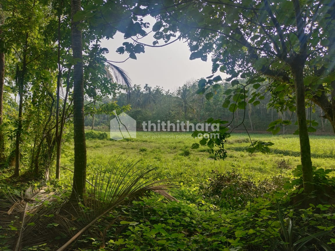 Commercial Plot For Sale In Wadakanchery Thrissur