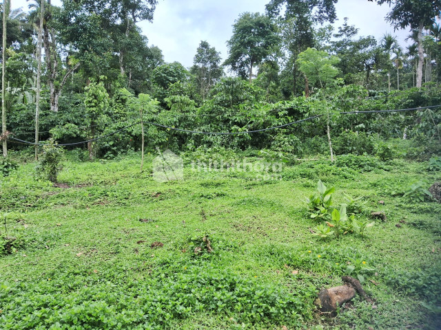 Residential Land available for Sale in Kalpetta Wayanad