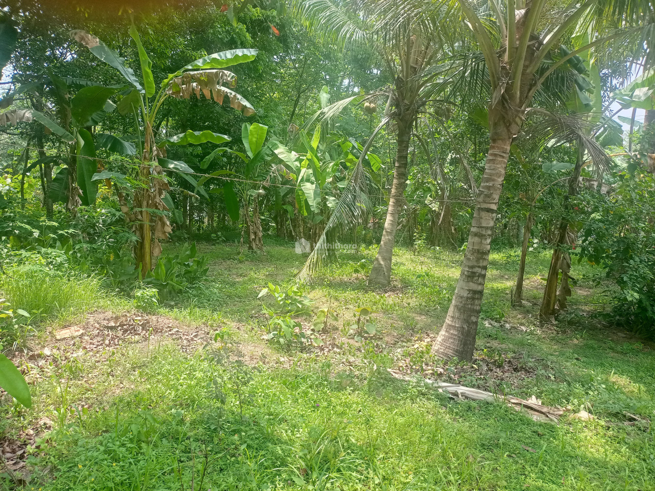 Residential Land for sale Ayoor Kollam 