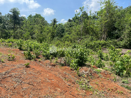 Residential Land available for Sale in Kongad Palakkad