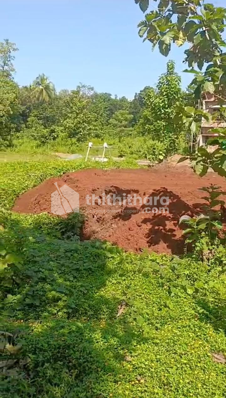 Residential Land available for Sale in Vellaramunda Malappuram