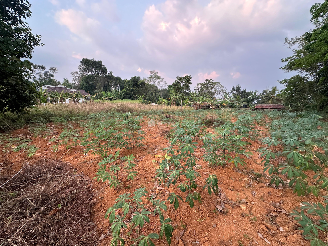 Residential Land available for Sale in Meenachil Kottayam