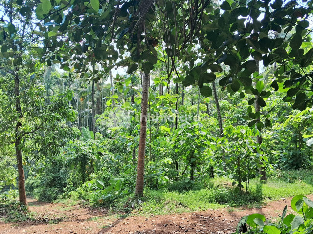 Residential Land available for Sale in Mannarkad Palakkad