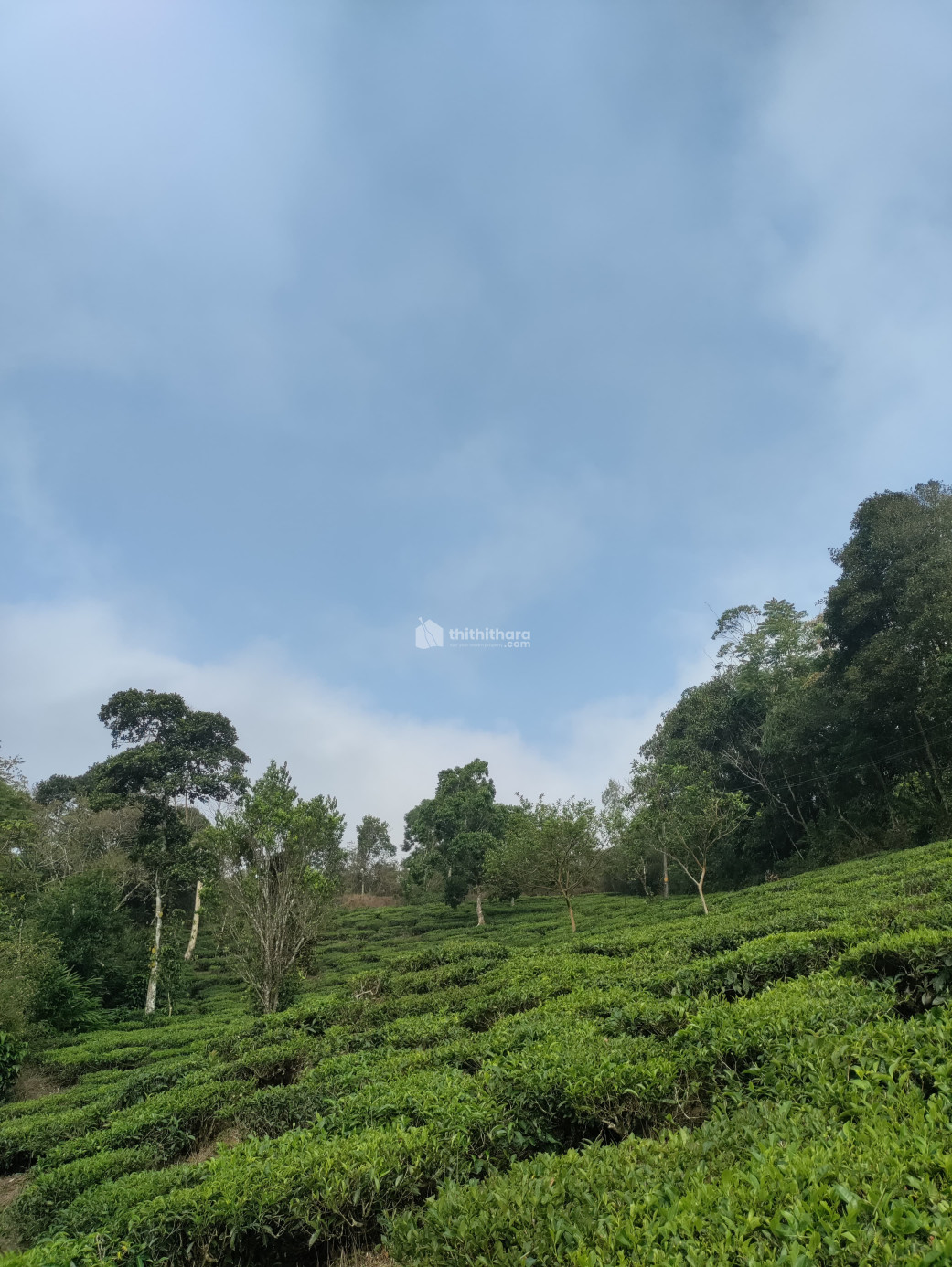 Residential Land available for Sale in Peerumade Idukki