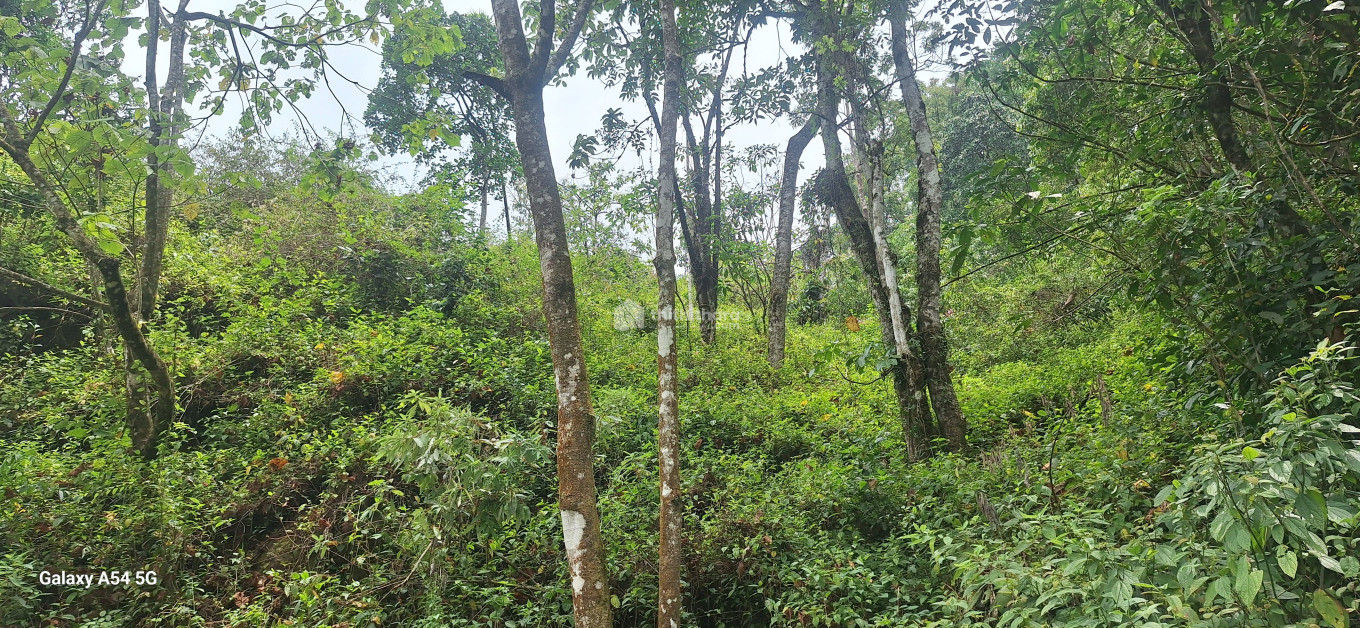Commercial Plot available for Sale in Mankulam Idukki