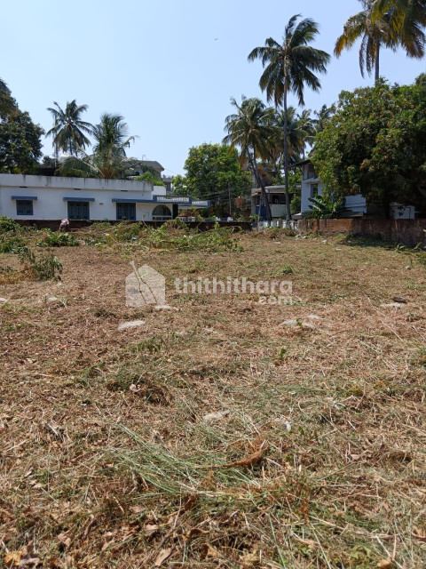 Commercial Plots available for Sale in Olavakod Palakkad
