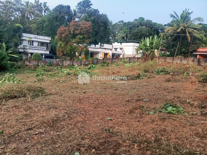 Residential plot for sale in karukachal Kottayam 