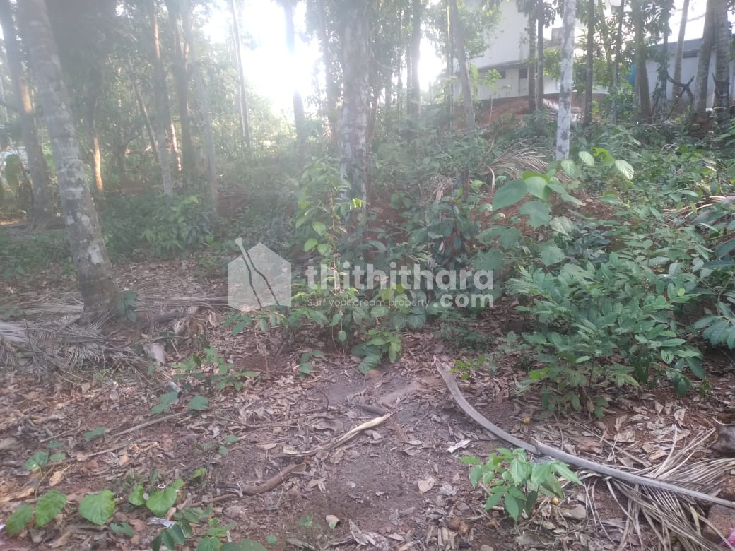 Residential Land for Sale at Medical College, Kozhikode