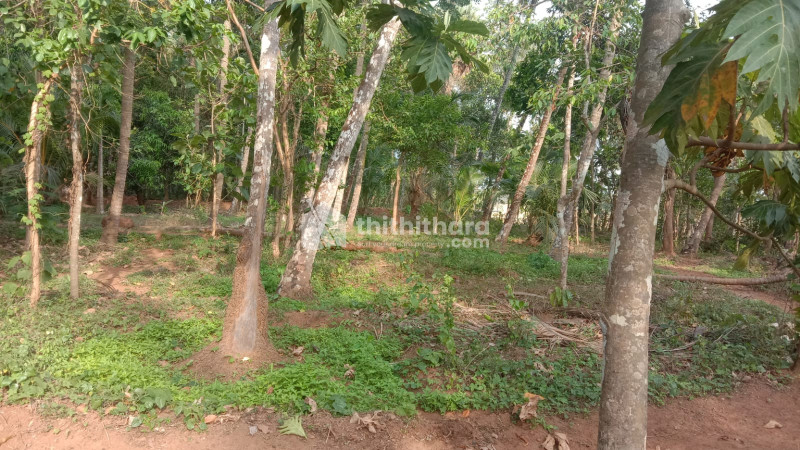 68 cent land for sale at Desamangalam ,Thrissur