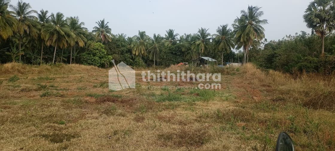 Commercial Plots available for Sale in Veliyampallam Palakkad