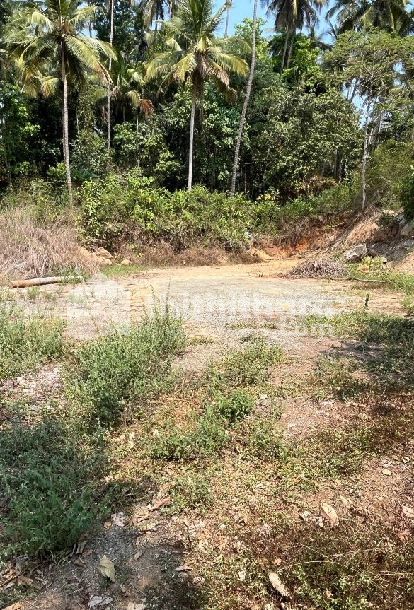 Residential Land available for Sale in Payyoli Kozhikode
