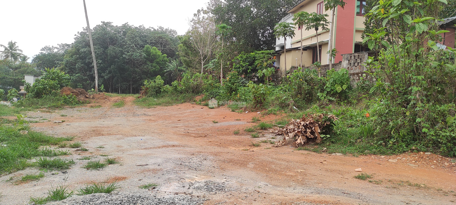 Residential Land for sale at Adoor Pathanamthitta