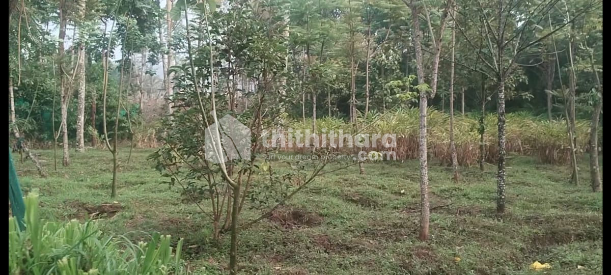 Residential Land available for Sale in Valiyathovala Idukki
