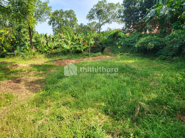 Residential Land available for Sale in Puthur Thrissur