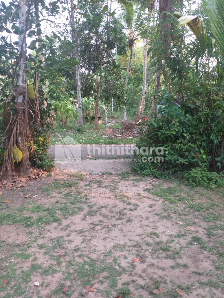 Residential Land  For Sale In Kodungallur Thrissur