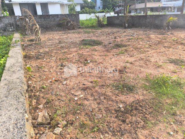 Residential Land available for Sale in Kothamangalam Ernakulam