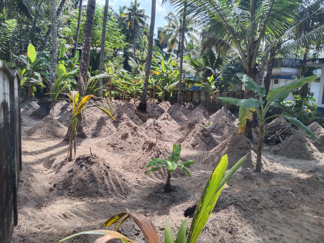 10 സെന്റ് വില്പനക്ക് 
